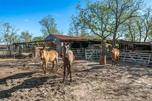 1227 Avenue L, Santa Fe, TX 77510 - Photo 15