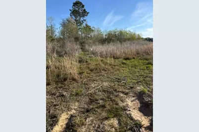 653 Road 5816, Cleveland, TX 77327 - Photo 5