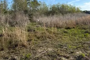 653 Rd 5816, Cleveland, TX 77327 - Photo 5