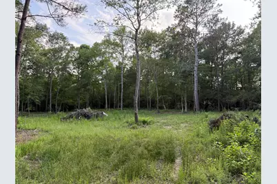 Tbd E Capps Road Road, Livingston, TX 77351 - Photo 3