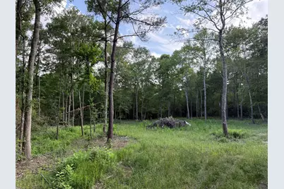 Tbd E Capps Road Road, Livingston, TX 77351 - Photo 5