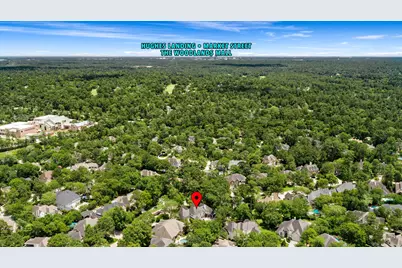 106 Fairbranch Circle, The Woodlands, TX 77382 - Photo 47