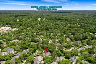 106 Fairbranch Circle, The Woodlands, TX 77382 - Photo 47