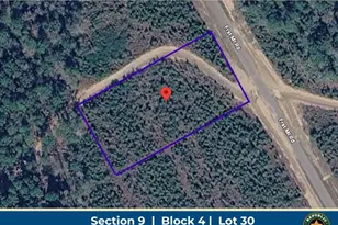 16163 Frst Ml Rd, Willis, TX 77378 - Photo 1