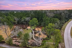 519 Caverna St, Montgomery, TX 77316 - Photo 37