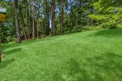 480 Caney Creek Drive, Livingston, TX 77351 - Photo 31