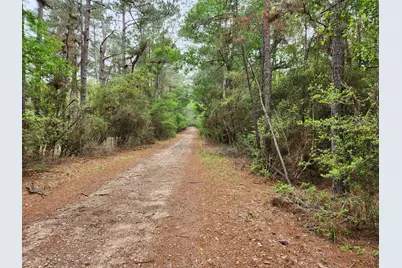 Lot 25 North Council Drive, Hempstead, TX 77445 - Photo 7