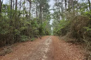 Lot 25 North Council Dr, Hempstead, TX 77445 - Photo 1