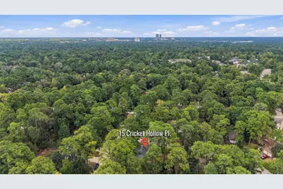 15 Cricket Hollow Place, The Woodlands, TX 77381 - Photo 39