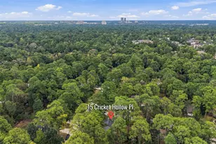 15 Cricket Hollow Pl, The Woodlands, TX 77381 - Photo 39