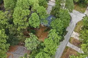 15 Cricket Hollow Pl, The Woodlands, TX 77381 - Photo 37