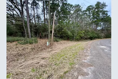 Lot 93 Whisperwood Drive, Onalaska, TX 77360 - Photo 3