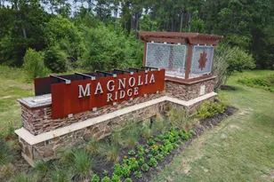814 Shrub Ct, Magnolia, TX 77354 - Photo 29