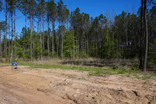 13648 Armstrong St, Conroe, TX 77303 - Photo 11