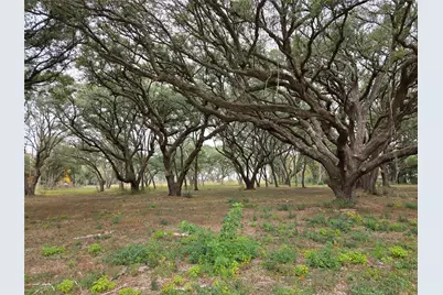 00 Runneburg Road, Crosby, TX 77532 - Photo 15