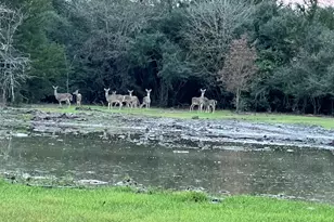 17401 Hwy 21 W, North Zulch, TX 77872 - Photo 43