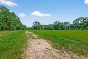 905 County Rd 379, Cleveland, TX 77328 - Photo 9