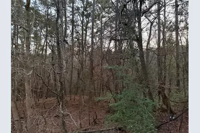 126 Green Tree Drive, Coldspring, TX 77331 - Photo 1