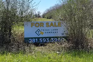 Tbd Brumlow Rd, Waller, TX 77484 - Photo 1