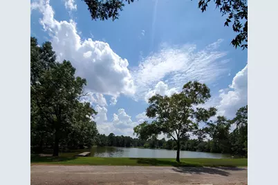 17530 Sun Perch Road, Conroe, TX 77384 - Photo 5