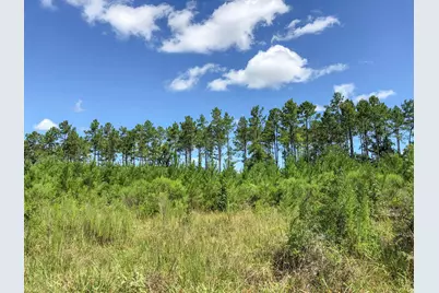 1 US Highway 287, Corrigan, TX 75939 - Photo 7