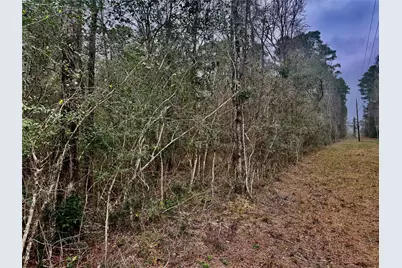 Tbd Eastwood Avenue, Coldspring, TX 77331 - Photo 13
