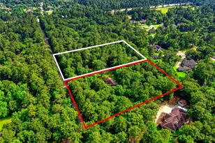 40015 Gable Cir, Magnolia, TX 77354 - Photo 3