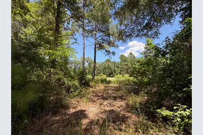 Tbd Pr 1284, Centerville, TX 75833 - Photo 1