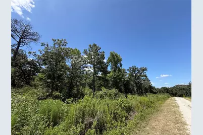 Tbd Pr 1284, Centerville, TX 75833 - Photo 11
