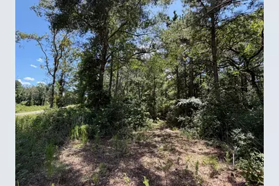 Tbd Pr 1284, Centerville, TX 75833 - Photo 5