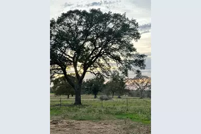 Tbd E US Hwy 90, Waelder, TX 78959 - Photo 5