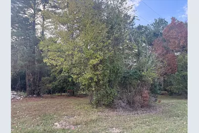 0 Silver Hickory Drive, Coldspring, TX 77331 - Photo 1