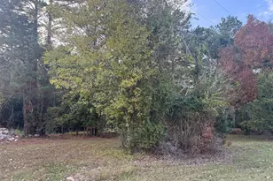 0 Silver Hickory Dr, Coldspring, TX 77331 - Photo 1
