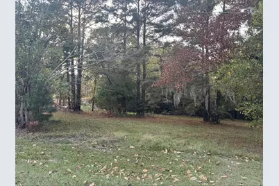 0 Silver Hickory Drive, Coldspring, TX 77331 - Photo 3
