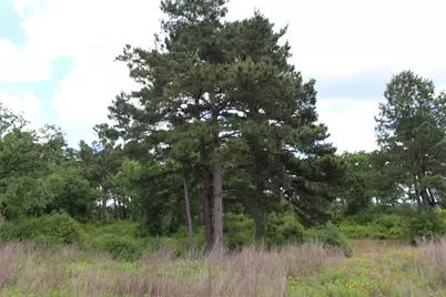 Tract 42 Private Road 1316, Centerville, TX 75833 - Photo 13