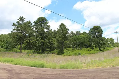 Tract 42 Private Road 1316, Centerville, TX 75833 - Photo 9