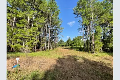 Lot 4 E Fm 942, Livingston, TX 77351 - Photo 5