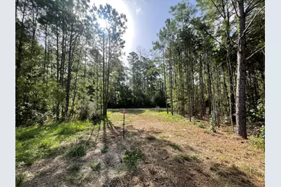 Lot 4 E Fm 942, Livingston, TX 77351 - Photo 7