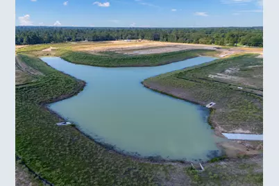 217 Elm Spring Drive, Hockley, TX 77447 - Photo 19