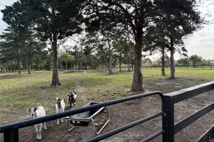 6407 Avenue O, Santa Fe, TX 77510 - Photo 23