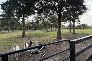 6407 Avenue O, Santa Fe, TX 77510 - Photo 23