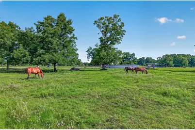 0 Mt Zion Road, Brookshire, TX 77423 - Photo 9