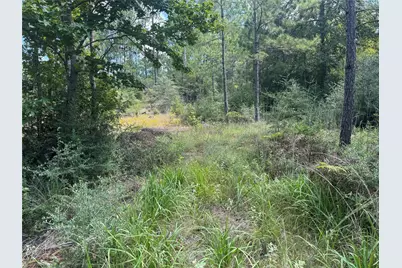 281 Tanoak Lane, Brookeland, TX 75931 - Photo 3