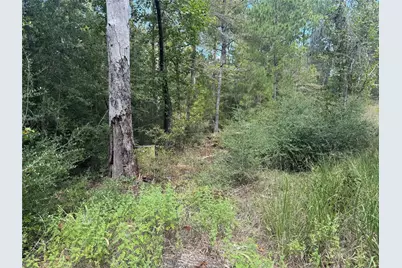 281 Tanoak Lane, Brookeland, TX 75931 - Photo 7