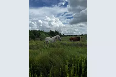 0 County Road 306, Brazoria, TX 77422 - Photo 1