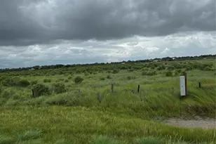 0 County Rd 306, Brazoria, TX 77422 - Photo 1