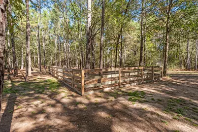 29300 Sorrel Lane, Waller, TX 77484 - Photo 31