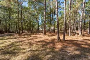 29300 Sorrel Ln, Waller, TX 77484 - Photo 33