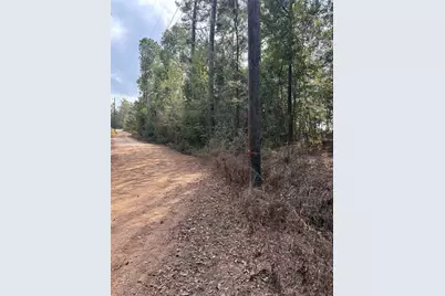 Tbd Glen Nettles Road, Livingston, TX 77351 - Photo 1