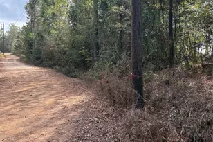 Tbd Glen Nettles Rd, Livingston, TX 77351 - Photo 1